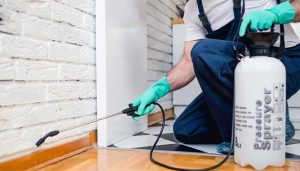 سمپاشی منزل و شرکت