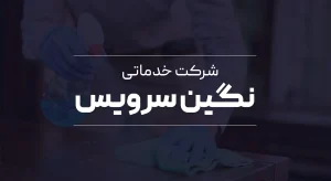 شرکت خدماتی نگین سرویس