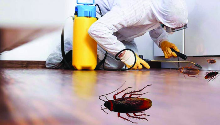 ساده ترین روش سم پاشی سوسک کابینت
