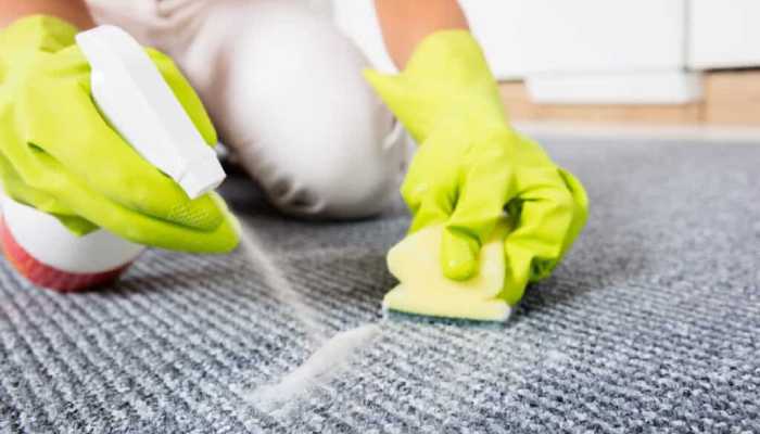 نحوه تمیز کردن فرش در منزل بدون شستن آن