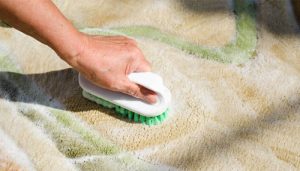 بهترین شوینده برای شستن فرش در خانه