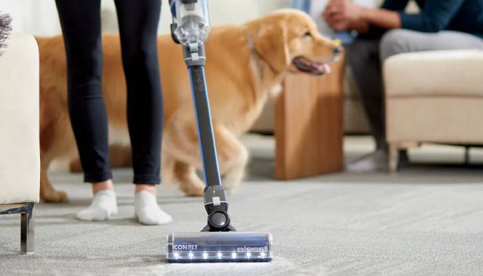 بهترین روش برای از بین بردن موی حیوانات خانگی از روی مبل