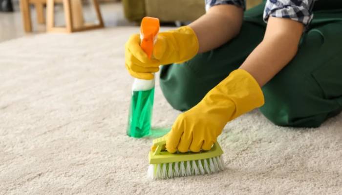 بهترین روش پاک کردن کپک از روی فرش