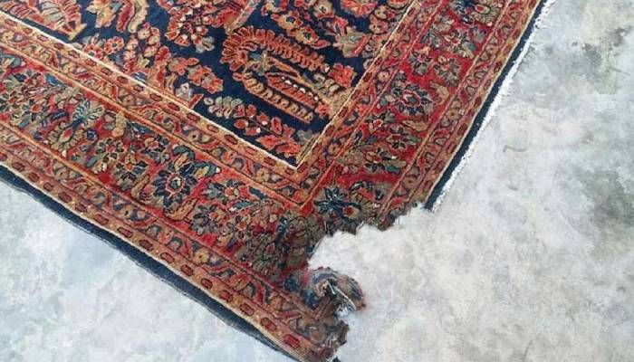بهترین روش پاک کردن کپک از روی فرش