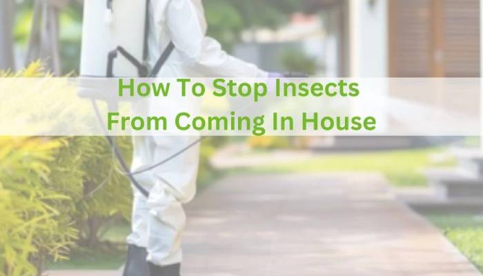 جلوگیری از هجوم حشرات به خانه
