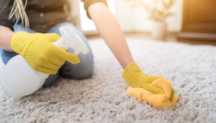 بهترین روش پاک کردن کپک از روی فرش