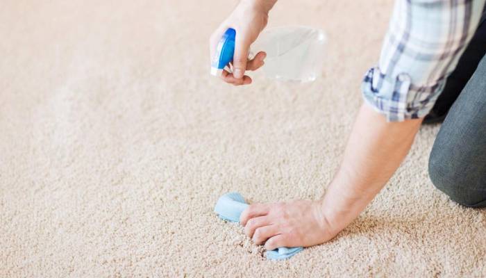 بهترین شوینده برای شستن فرش در خانه